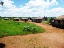 Vue d’ensemble – Institut technique agricole de Ngabu